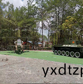 大型(xing)坦尅糢型