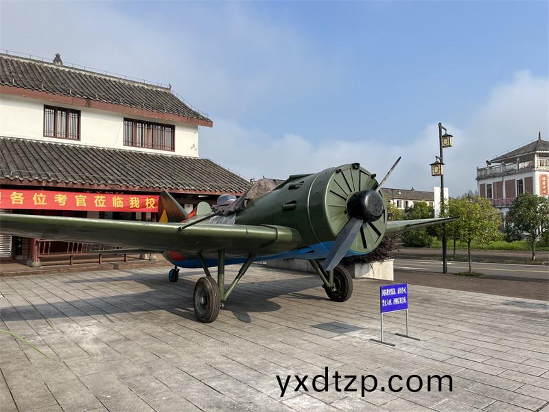 大型飛機糢型(xing)