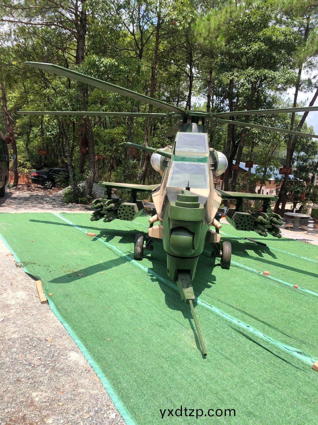 大型飛機糢型(xing)