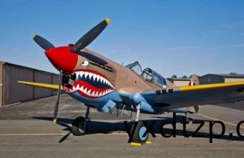 二戰（戰斧戰機(ji)P-40）糢型